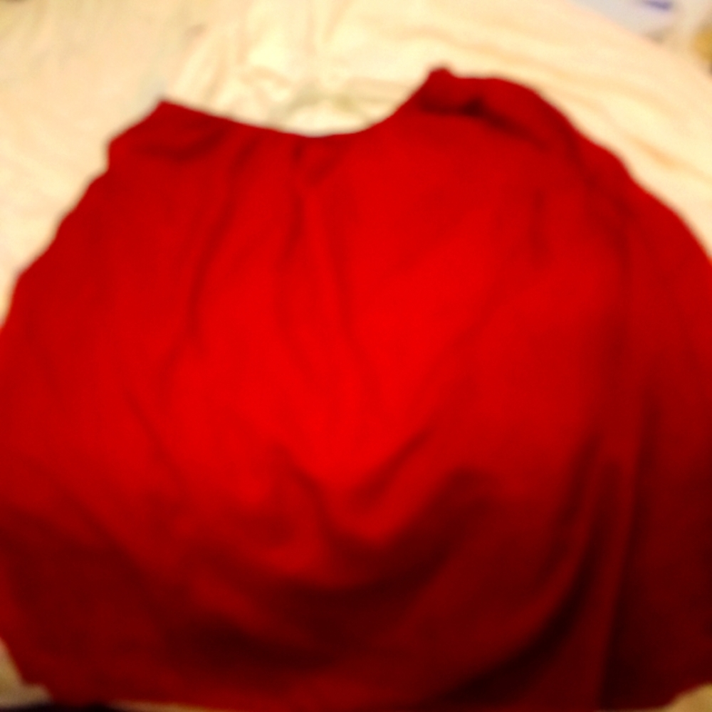 Red Skirt don't know the brand went thrifting it's a 2X.